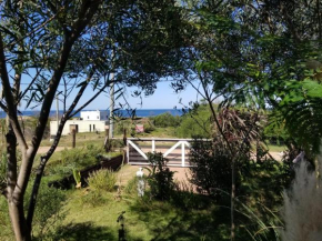 Casita Picaflor